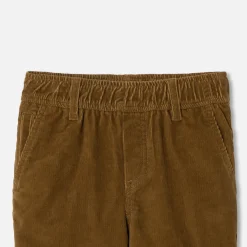 Boy carrot pants
