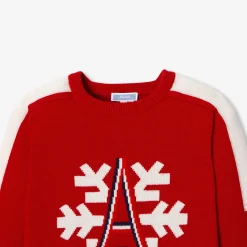 Boy Holiday sweater