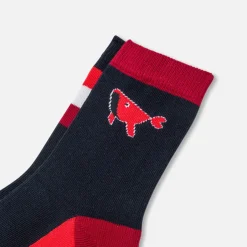 Boy pair of socks