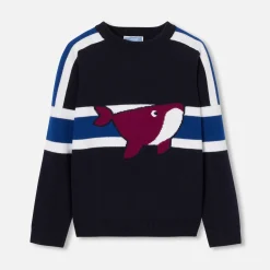 Boy sweater