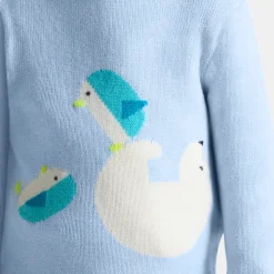 Fancy Intarsia baby boy sweater