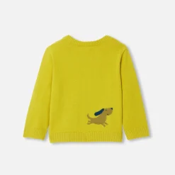 Fancy Intarsia baby boy sweater